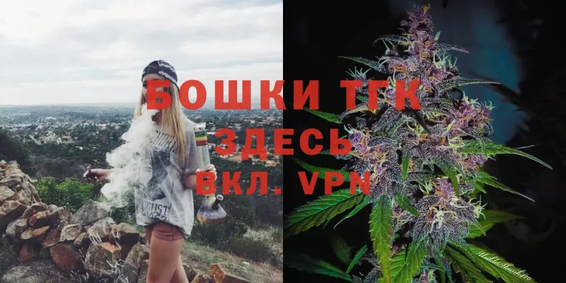 Каннабис OG Kush  Аркадак 